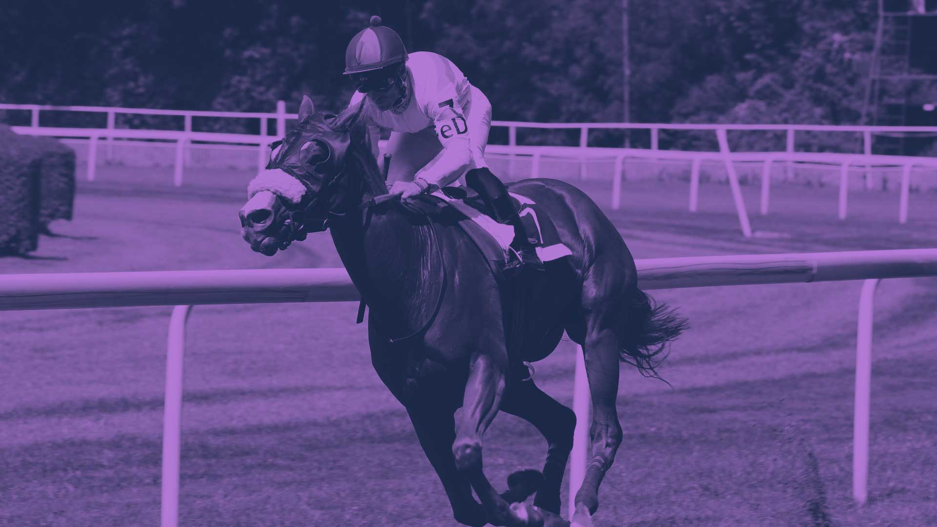 Horse Racing