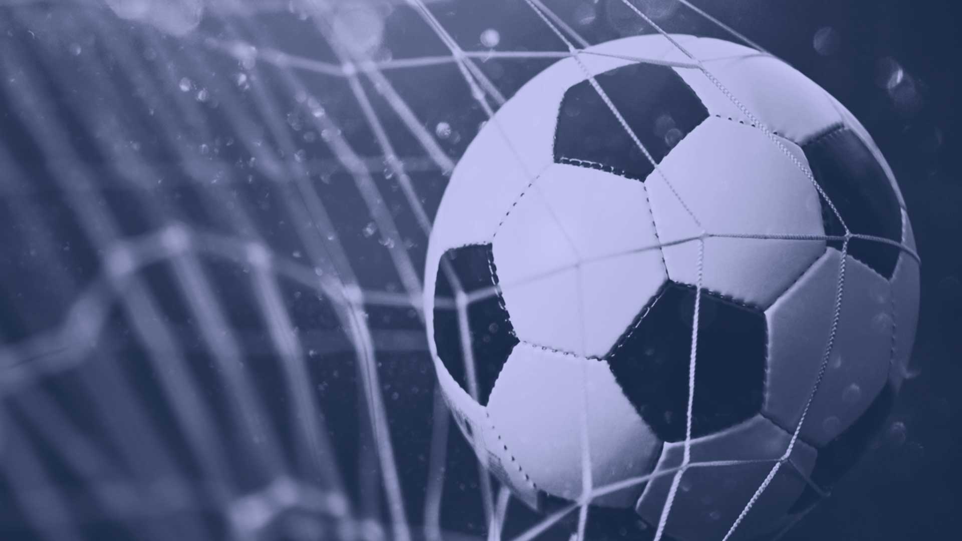 fifa world cup qatar 2022 lilac